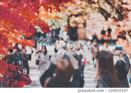 來南禪寺賞紅葉的旅客 來南禪寺賞紅葉的旅客 120910187