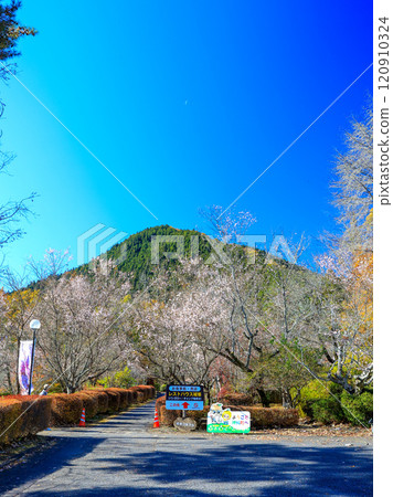 白峰公園和神山(垂直) 白峰公園和神山(垂直) 120910324