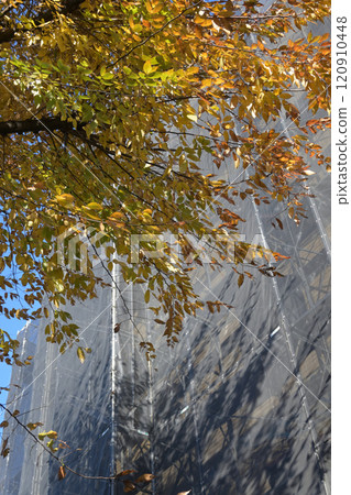 A protective net for the exterior construction of a building reflecting autumn leaves 120910448