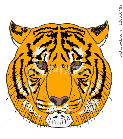 A tiger A tiger 120910485