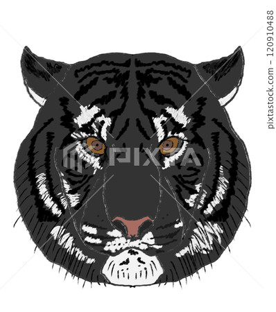 A tiger A tiger 120910488