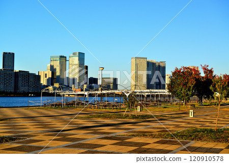 View of the Harumi Flag and high-rise apartment buildings from Toyosu Gururi Park 120910578