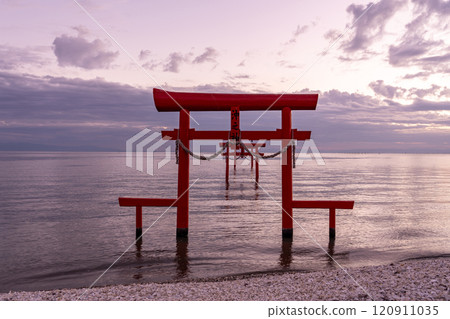 佐賀縣塔拉鎮，秋天的水下鳥居，早晨站在有明海的淺水區 120911035