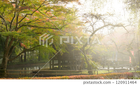 Chusonji Temple: Benzaiten Hall floating in the morning mist, Iwate Prefecture 120911464