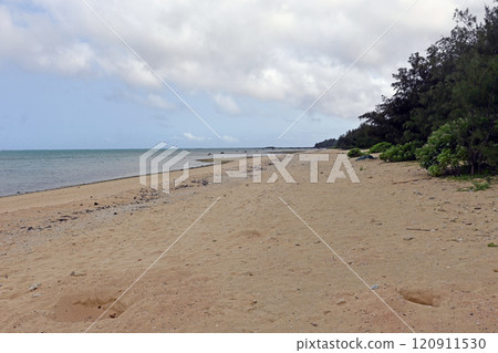 石垣島那田海灘 石垣島那田海灘 120911530