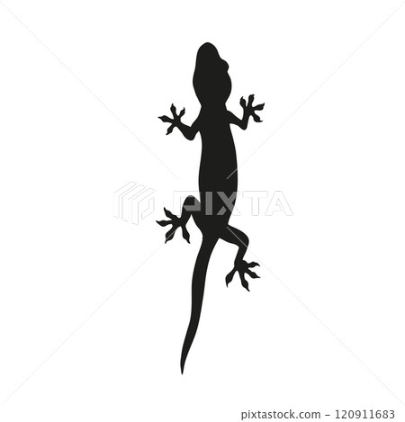 Silhouette of a black lizard crawling 120911683