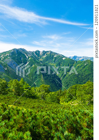 Climbing Mt. Eboshi and Mt. Minamizawa in summer (Eboshi hut to Mt. Maeeboshi: Overlooking Mt. Mitsutake and Mt. Suisho) Climbing Mt. Eboshi and Mt. Minamizawa in summer (Eboshi hut to Mt. Maeeboshi: Overlooking Mt. Mitsutake and Mt. Suisho) 120911821