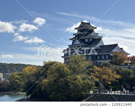 天守閣在秋日的天空下閃閃發光 天守閣在秋日的天空下閃閃發光 120911940