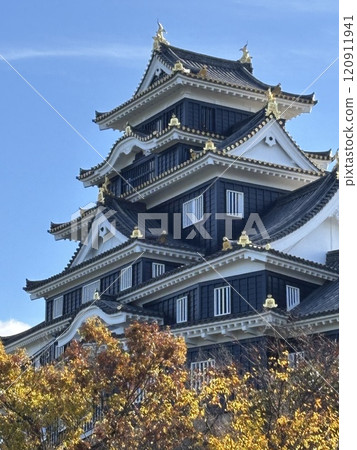 天守閣在秋日的天空下閃閃發光 天守閣在秋日的天空下閃閃發光 120911941