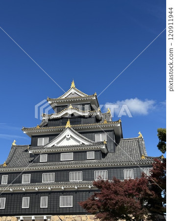 The castle tower shining against the autumn sky The castle tower shining against the autumn sky 120911944