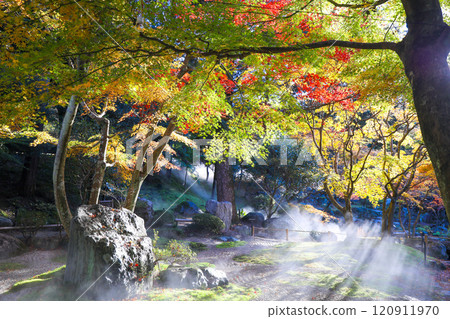 枯山水煙 枯山水煙 120911970