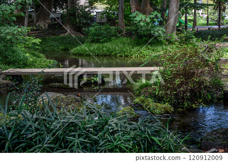 Spring water at Mishima Shirataki Park 120912009
