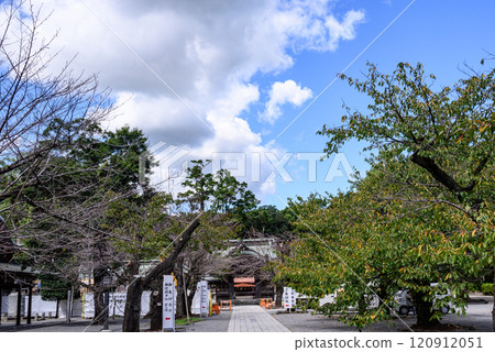 Scenery of Mishima Taisha Shrine under blue skies Scenery of Mishima Taisha Shrine under blue skies 120912051