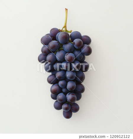 Fresh bunch of dark purple grapes on light background, vibrant and juicy 120912122