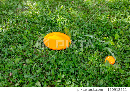 Bright orange disc on lush green grass: outdoor play scene 120912211