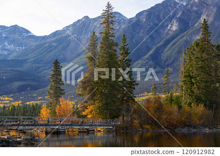 Beautiful autumn colors in Pyramid lake, green and yellow trees, old wooden bridge to the island in Jasper national park. 120912982