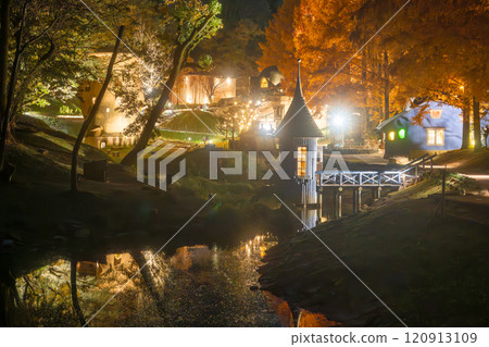 Akebono Children's Forest Park Autumn Light-up 120913109