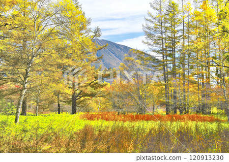 Nikko plateau dyed in autumn leaves 120913230