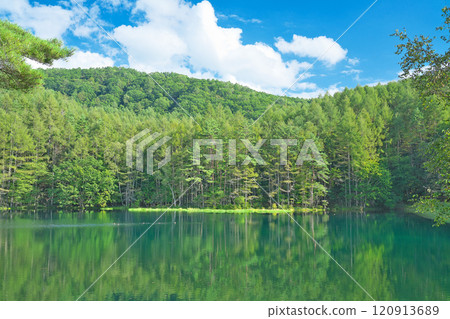 [三坂池] 長野縣茅野市豐平市奧立科 120913689