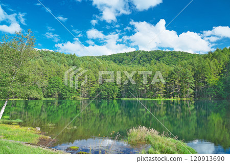 [Mishaka Pond] Okutateshina, Toyohira, Chino City, Nagano Prefecture 120913690
