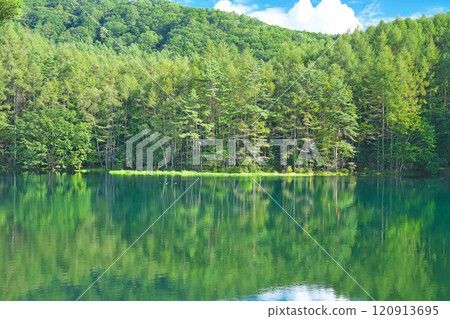[Mishaka Pond] Okutateshina, Toyohira, Chino City, Nagano Prefecture 120913695