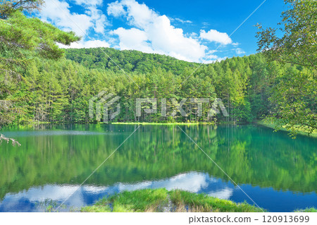 [Mishaka Pond] Okutateshina, Toyohira, Chino City, Nagano Prefecture 120913699