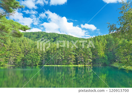 [Mishaka Pond] Okutateshina, Toyohira, Chino City, Nagano Prefecture 120913700