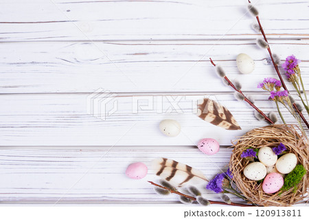 Easter banner with nest, eggs, willow, flowers and feathers. 120913811