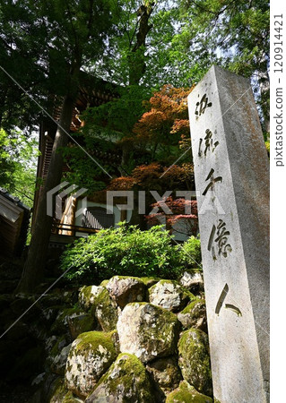 永平寺周圍綠樹環繞 120914421