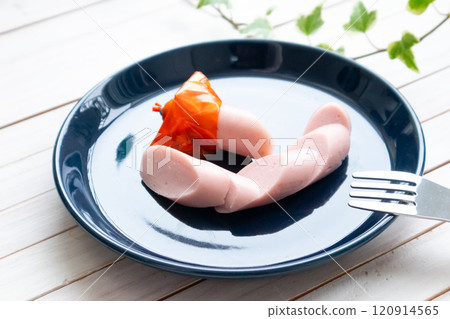 Fish sausage on a small plate 120914565