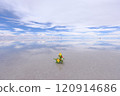 "Uyuni Salt Flats | A fantastical view of a vibrant yellow bouquet 120914686