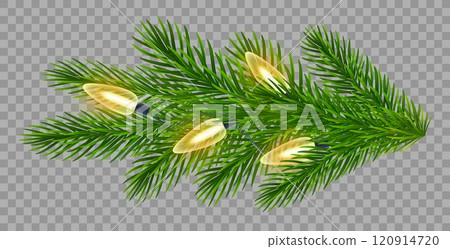 Sparkling Christmas lights illuminate realistic fir branch on transparent background. For festive designs, New Year, Christmas greeting cards, banners. Vector illustration Sparkling Christmas lights illuminate realistic fir branch on transparent background. For festive designs, New Year, Christmas greeting cards, banners. Vector illustration 120914720