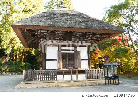 [河內長野市國家指定重要文化遺產「觀心寺」寶塔] 120914750