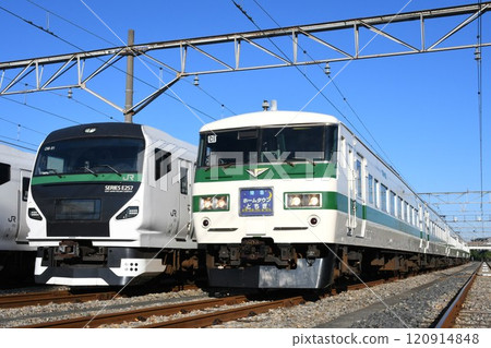 E257系列5000系列在東大宮排列，185系列在家鄉栃木展示 120914848