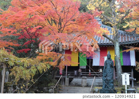 Autumn leaves at Daishido Hall, Imakumano Kannonji Temple, Kyoto 120914921