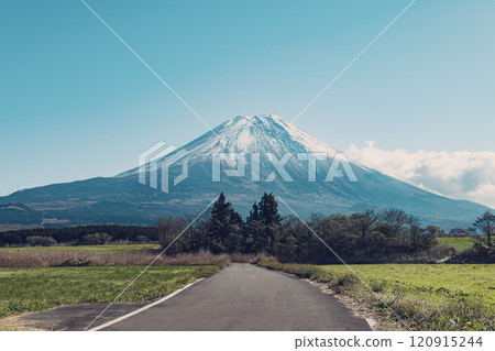 直通富士山的筆直道路 120915244