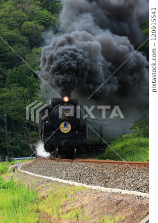 SL Yamaguchi D51 4576 120915541
