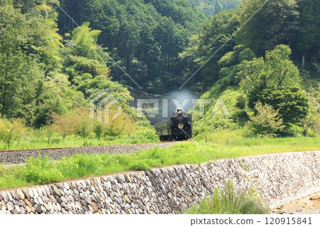 SL Yamaguchi D51 5228 120915841