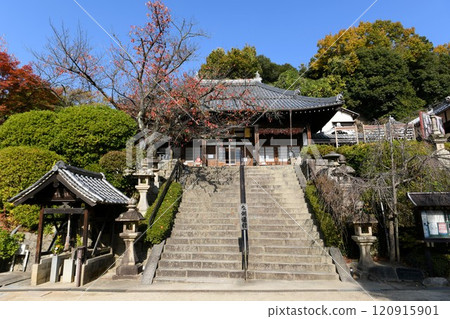 [大東市「慈源寺」正殿與石階參道] 120915901