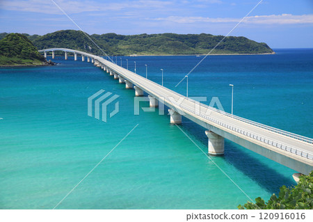 Tsunoshima Bridge 8835 Tsunoshima Bridge 8835 120916016