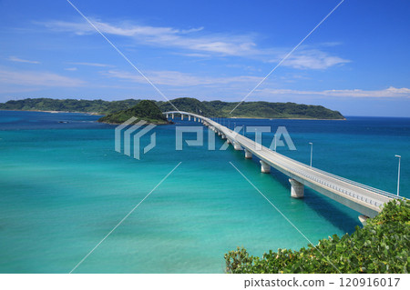 Tsunoshima Bridge 8837 Tsunoshima Bridge 8837 120916017
