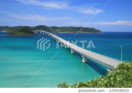 Tsunoshima Bridge 8845 120916020