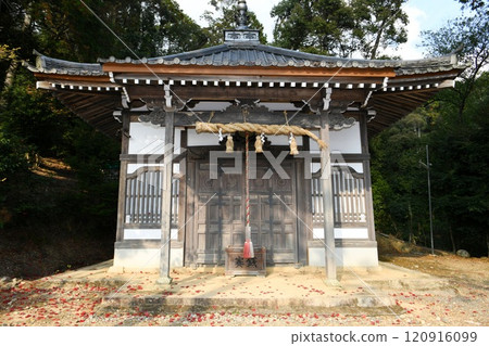 [高槻市「金峰山寺」開山堂] 120916099