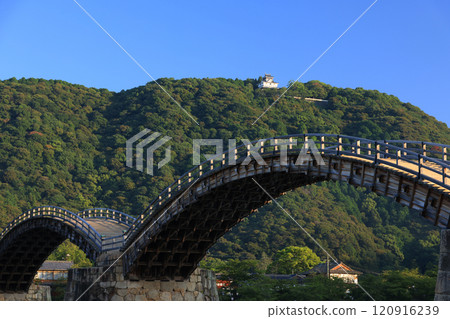 Iwakuni Kintai Bridge 4206 Iwakuni Kintai Bridge 4206 120916239
