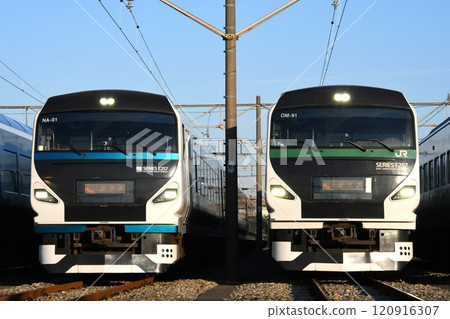 E257系列2000系列和5000系列展示在東大宮排列的舞者 120916307