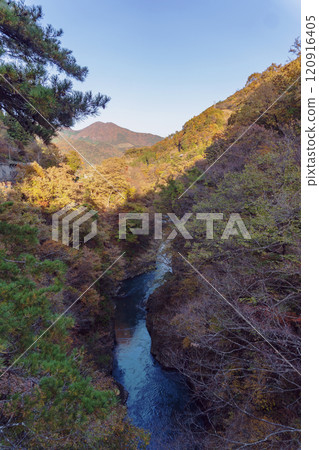 Gunma Prefecture / Agatsuma Valley and Autumn Foliage / View from Saruhashi Bridge Gunma Prefecture / Agatsuma Valley and Autumn Foliage / View from Saruhashi Bridge 120916405