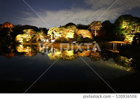 Night view of Rikugien Garden Night view of Rikugien Garden 120916508