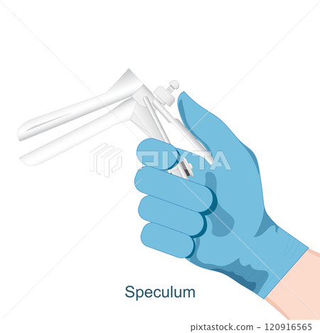 Human Hand hold Speculum is a medical instrument. 120916565