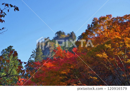 Fukuoka: Autumn leaves at Takasumi Shrine and Boundai Fukuoka: Autumn leaves at Takasumi Shrine and Boundai 120916579