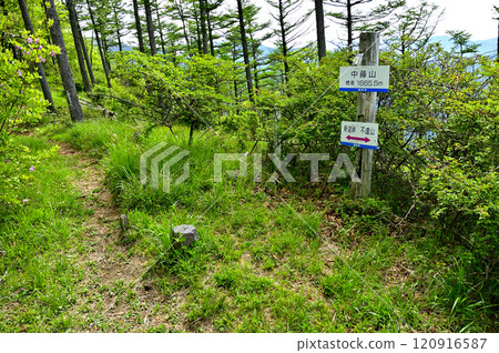 春天的禦坂山、中富士山的新綠山頂 春天的禦坂山、中富士山的新綠山頂 120916587